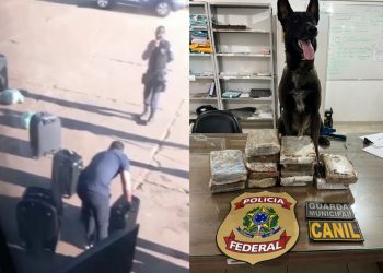 A ação contou com apoio do Canil da Guarda Municipal de Marabá, que levou cão farejador. O animal farejou todas as bagagens do ônibus, mas só reconheceu se tratar de droga na da mulher flagrada. Só então os pacotes foram abertos, contendo material com características de substância ilícita. A presa foi levada à Delegacia da Polícia Federal em Marabá, onde foi lavrado o flagrante por tráfico de drogas. Em seguida, foi encaminhada ao IML para perícia e então, ao sistema penitenciário.