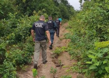 Polícia Civil deflagrou operação 'Anjos da guarda' em Juruti, oeste do Pará — Foto: Divulgação