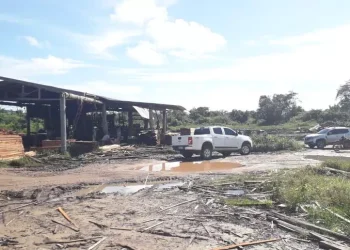 A serraria foi desmobilizada e os três responsáveis foram presos por suspeita de furto de energia (Equatorial Pará / Divulgação)