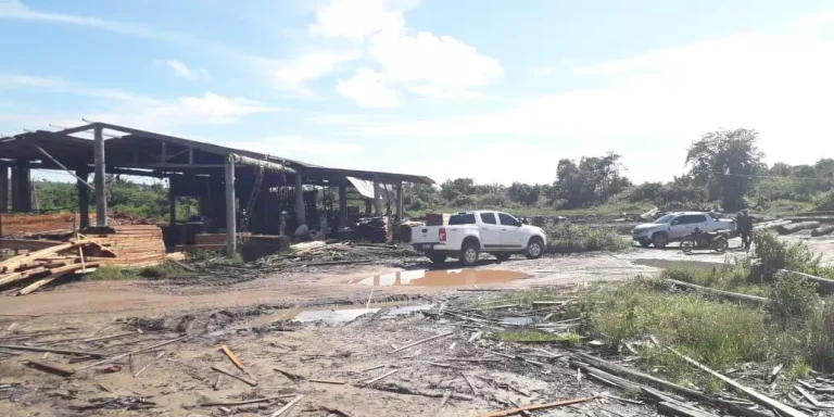 A serraria foi desmobilizada e os três responsáveis foram presos por suspeita de furto de energia (Equatorial Pará / Divulgação)
