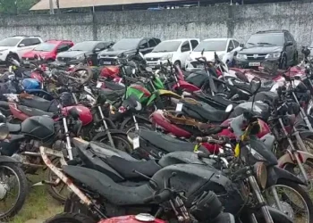 Veículos apreendidos pelo Detran-PA vão a leilão nesta quinta e sexta-feira — Foto: Agência Pará