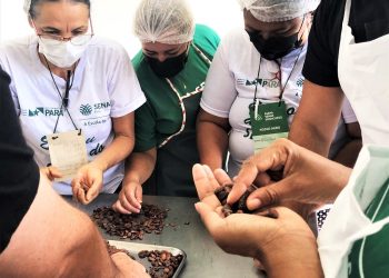 Foto: Divulgação/Norte Energia