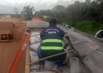 Sefa apreende fécula de mandioca no Pará. — Foto: Divulgação