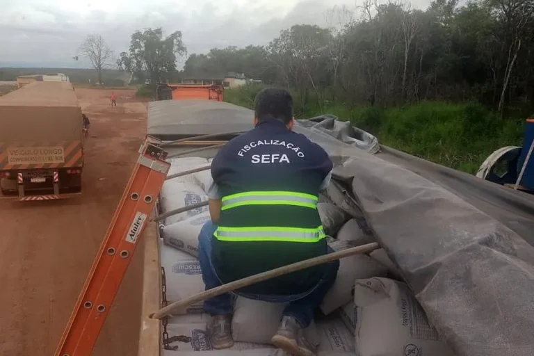 Sefa apreende fécula de mandioca no Pará. — Foto: Divulgação