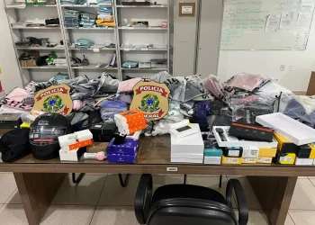 Diversos produtos que estavam no caminhão seriam furtados e desviados, segundo a PF. — Foto: Ascom PFPA