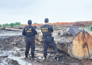 Foto: Divulgação/PF