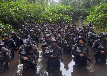 Foto: Divulgação / Agência Pará