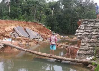 No começo de abril, as fortes chuvas que afetam o Pará desde fevereiro chegaram a destruir estradas e pontes, como ocorreu na PA-252, entre Acará e Moju. A rodovia já foi reparada. (Igor Mota / O Liberal / Arquivo / Imagem Meramente Ilustrativa)