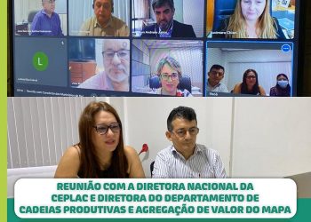 ACBM e CEPLAC voltam a discutir melhorias da cacauicultura na região do Xingu