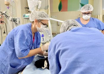 Foto: Divulgação - Ascom HRPT