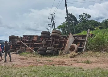 A PRF não soube informar quando bois estavam dentro do automóvel na hora do acidente (Reprodução / Redes sociais)