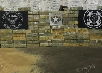 Uma das maiores apreensões de cocaína em portos do Brasil em Vila do Conde, em Barcarena. Foram quase 3 toneladas de droga que estava sendo transportada para Portugal. — Foto: PF e Receita Federal