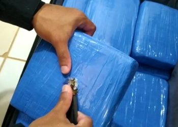 Altamira: Polícia Rodoviária apreende 10 kg de maconha em ônibus na BR-230