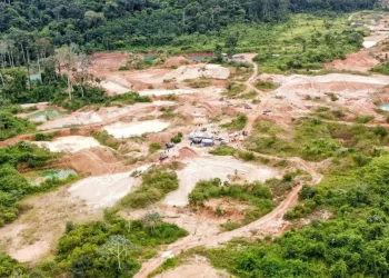 Esta é a quarta frente de atuação da base fixa em São Félix do Xingu, desde a implantação de fevereiro deste ano. (Divulgação / Agência Pará)