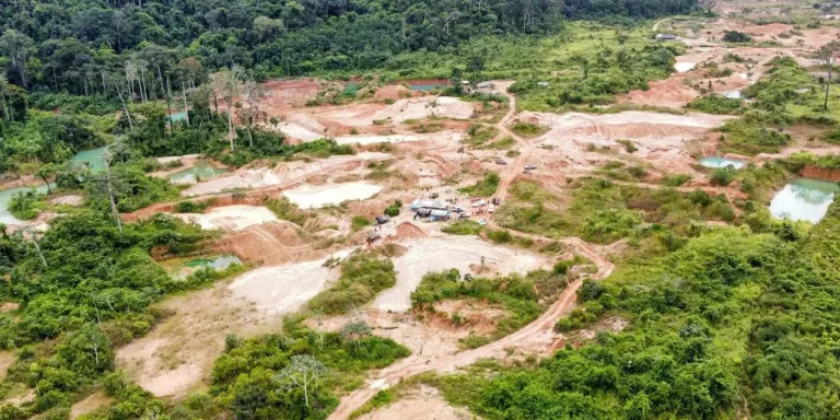 Esta é a quarta frente de atuação da base fixa em São Félix do Xingu, desde a implantação de fevereiro deste ano. (Divulgação / Agência Pará)