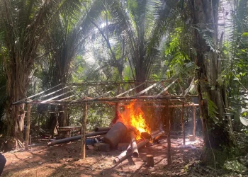 Equipamentos também foram quiemados dentro da área dos garimpos em Parauapebas, no Pará. — Foto: Ascom PFPA