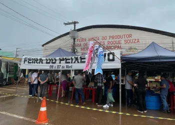 Mercado de Altamira, no sudoeste do Pará. — Foto: Reprodução / Prefeitura de Altamira