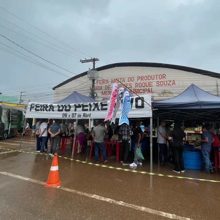 Mercado de Altamira, no sudoeste do Pará. — Foto: Reprodução / Prefeitura de Altamira