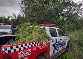 Foto: Divulgação/PM