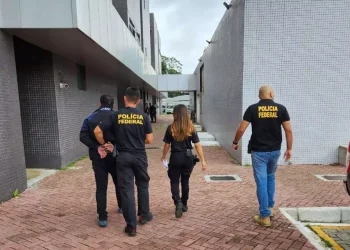 O suspeito vinha de Minas Gerais, Estado de origem do mandado, com escala em Brasília. (Divulgação / PF)