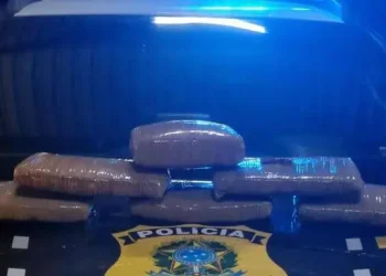 Durante as buscas nas bagagens da mulher, natural de Manaus (AM), os agentes encontraram seis tabletes de maconha (Divulgação/PRF)