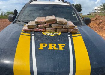 Casal é preso com mais de 14kg de maconha durante fiscalização da PRF a ônibus em Rurópolis