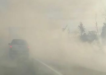 Foto: Darlei Pereira