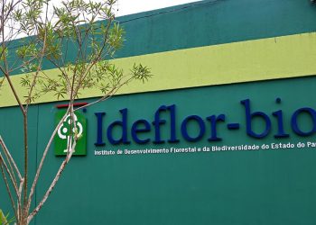 IDEFLOR-Bio abre processo seletivo para preencher 35 vagas. Entre as cidades está Altamira/PA