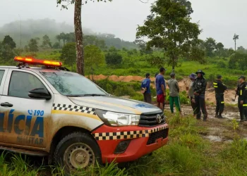 Os trabalhos têm como objetivo retirar o Pará do ranking dos estados que contribuem com o desmatamento na região amazônica. (Ag. Pará)