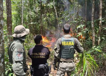 Mais três aviões são destruídos pela Operação “Libertação” na TI Yanomami
