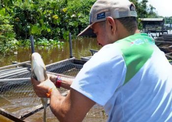 Foto: Divulgação/Agência Pará