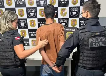 Os presos, após os procedimentos cabíveis, foram encaminhados ao sistema prisional, onde ficarão à disposição da Justiça para providências posteriores. (Divulgação/ PC)