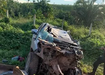Com a violência da batida, a caminhonete ainda percorreu alguns metros antes de sair da pista (Reprodução / Nosso Pará Notícias)