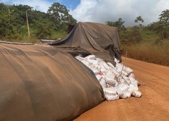 Foto: Portal Gazeta Real Uruará