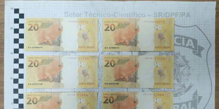 A Polícia Federal prendeu uma pessoa que recebeu R$ 1 mil em notas falsas via Correios, no município de Santa Bárbara, a cerca de 50 quilômetros de Belém (Divulgação: Comunicação Social da PF no Pará)