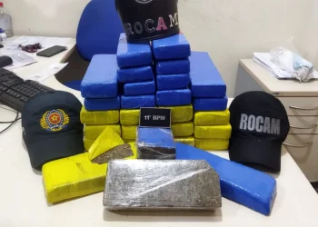 Homem foi preso com 18 quilos de maconha no Pará — Foto: PM/Reprodução