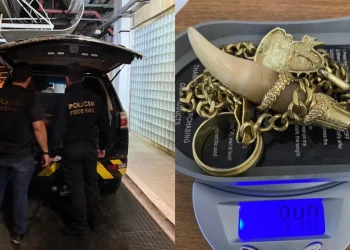 Homem preso e joias apreendidas com ele. — Foto: Ascom PF-PA