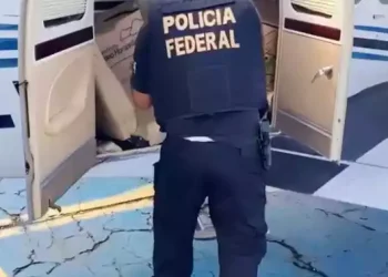 fonteA apreensão de 290 quilos de skunk, conhecida como "supermaconha", em um avião da Igreja Quadrangular, que estava em uma área particular do Aeroporto Internacional de Belém, foi uma das maiores apreensões de drogas deste ano no Estado (Divulgação/PRF)