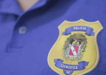 As inscrições são gratuitas e podem ser realizadas, exclusivamente, de forma online, através do site do Sipros (Divulgação/ PCP)