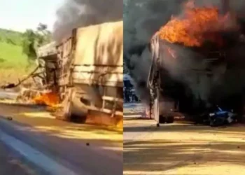 Acidente grave na rodovia BR-163, no sudoeste do Pará (Foto: Reprodução)