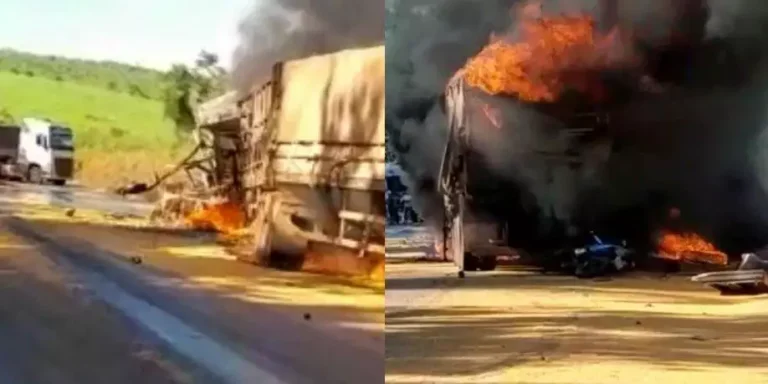 Acidente grave na rodovia BR-163, no sudoeste do Pará (Foto: Reprodução)