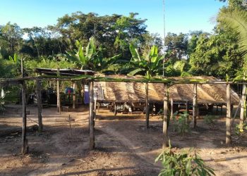 Foto: Divulgação/PC