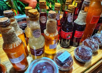 Foto: Wilson Soares - A Voz do Xingu