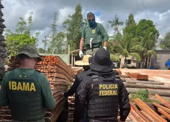 A Polícia Federal concluiu cinco dias de participação na operação Rieli, em conjunto com o Ibama. O objetivo foi fiscalizar e combater a extração ilegal de madeira na Terra Indígena Sarauá, no município de Ipixuna do Pará, no nordeste do Estado (Divulgação/Assessoria de Comunicação da Polícia Federal em Belém)