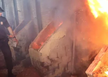 Segundo a PF, a maior parte droga incinerada foi maconha apreendida em 2023, mas também foram destruídos cocaína, haxixe, comprimidos de MDA e ayahuasca. (Divulgação / Ascom PF)