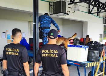 Foto: Divulgação/PF