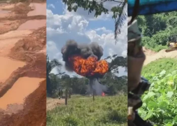 Operações contra garimpos abrangeu sudeste do Pará. — Foto: Ascom PF-PA