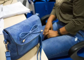 Sancionada lei estadual que garante cota de contratação para mulheres vítimas de violência doméstica e familiar no Pará — Foto: Pedro Guerreiro/Agência Pará