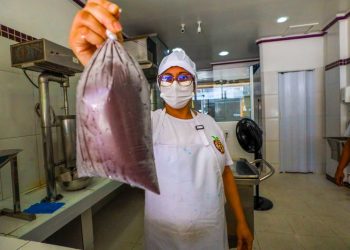 Foto: Agência Pará