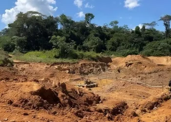 Operação em garimpo (Divulgação PF)